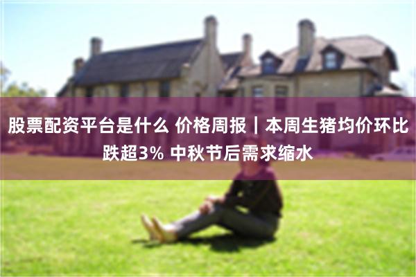 股票配资平台是什么 价格周报｜本周生猪均价环比跌超3% 中秋