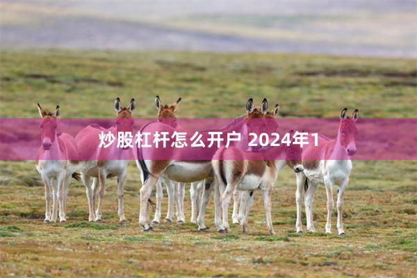 炒股杠杆怎么开户 2024年1