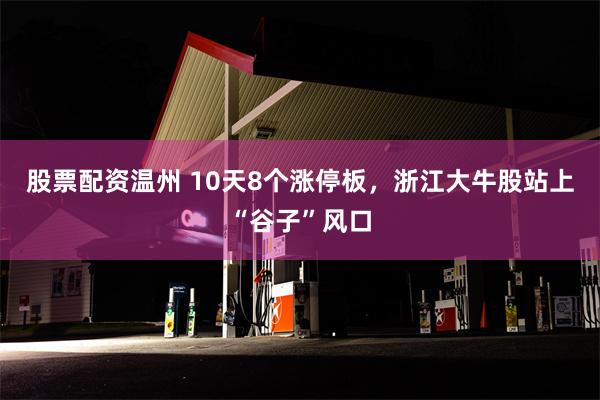 股票配资温州 10天8个涨停板，浙江大牛股站上“谷子”风口