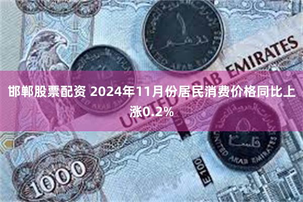 邯郸股票配资 2024年11月份居民消费价格同比上涨0.2%